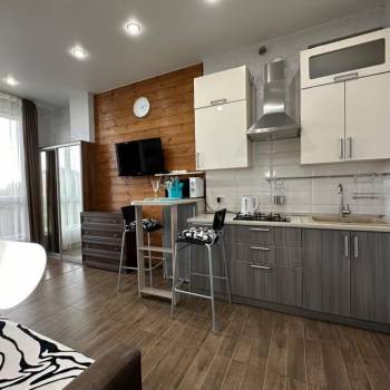 Продается 1-комнатная квартира, 23,7 м²