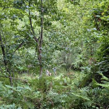 Продается Участок, 550 м²