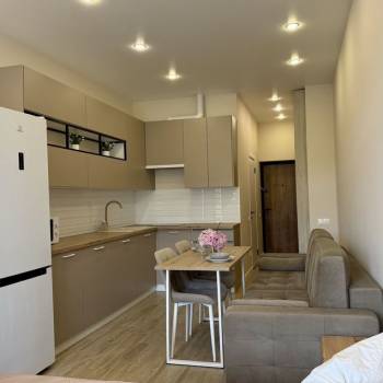 Продается 1-комнатная квартира, 27,1 м²