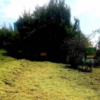 Продается Участок, 1200 м²