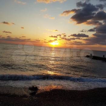 Сдается 1-комнатная квартира, 26,2 м²