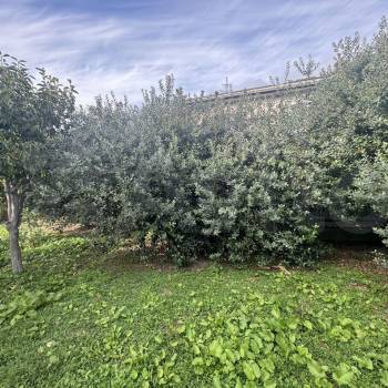 Продается Участок, 600 м²