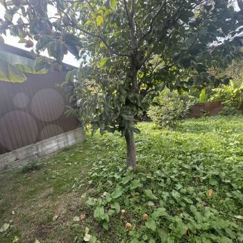 Продается Участок, 600 м²