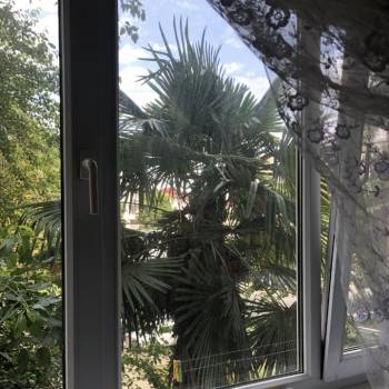 Сдается Многокомнатная квартира, 65 м²