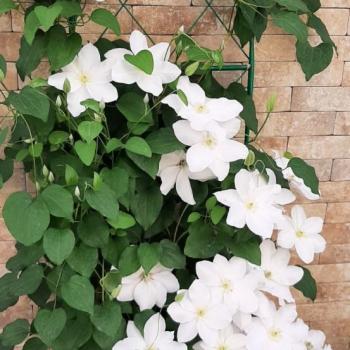 Продается 1-комнатная квартира, 30 м²