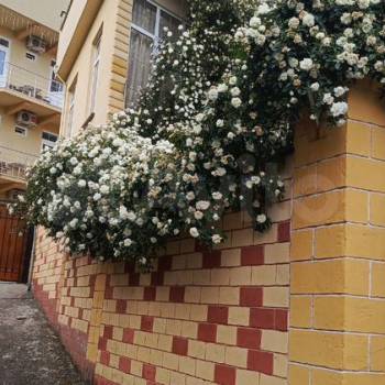 Продается Дом, 504 м²