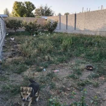 Продается Участок, 310 м²