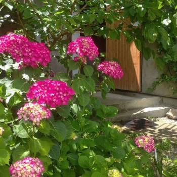 Сдается Дом, 320 м²