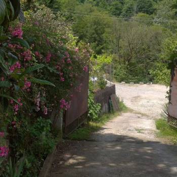 Сдается Дом, 320 м²