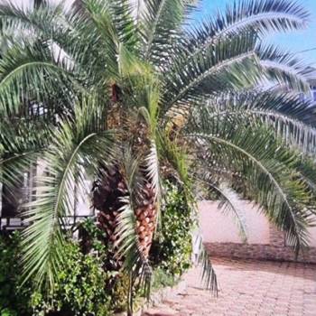 Продается 2-х комнатная квартира, 35 м²