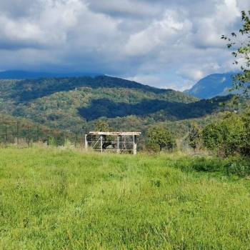 Продается Участок, 500 м²