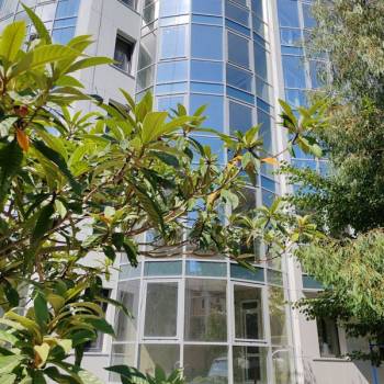 Продается 1-комнатная квартира, 31,83 м²