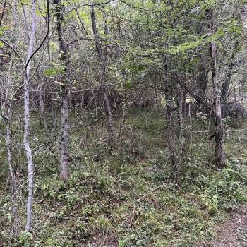 Продается Участок, 500 м²