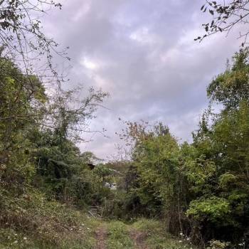 Продается Участок, 500 м²