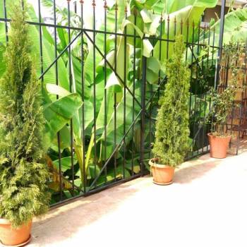 Сдается Комната, 12 м²