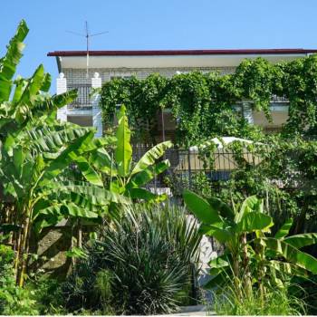 Сдается Комната, 12 м²