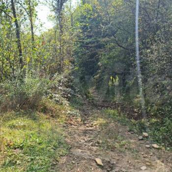 Продается Участок, 6000 м²