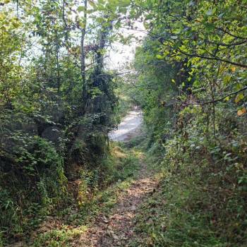 Продается Участок, 6000 м²