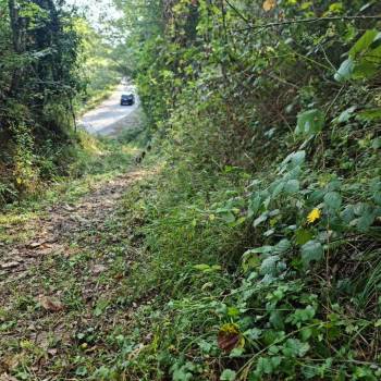 Продается Участок, 6000 м²