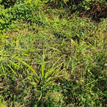 Продается Участок, 6000 м²