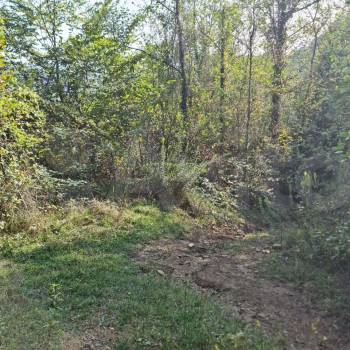 Продается Участок, 6000 м²