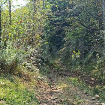 Продается Участок, 6000 м²