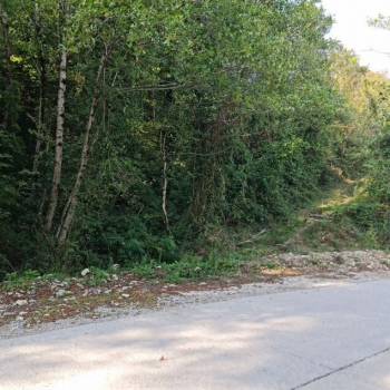 Продается Участок, 6000 м²