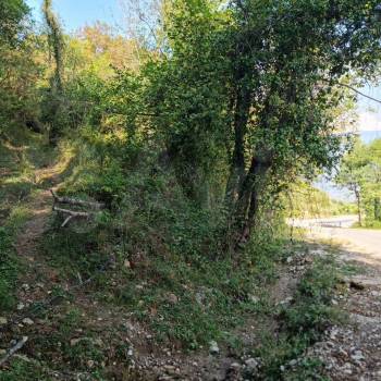 Продается Участок, 6000 м²