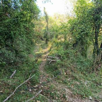 Продается Участок, 6000 м²