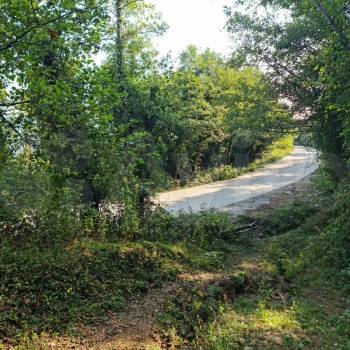 Продается Участок, 6000 м²