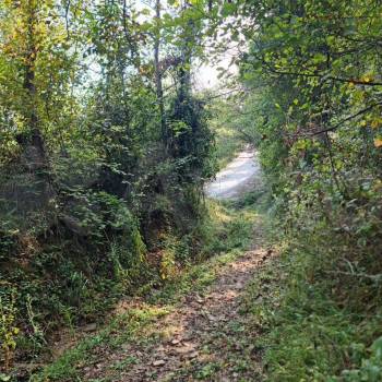 Продается Участок, 6000 м²