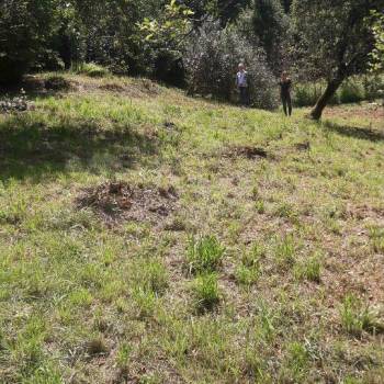 Продается Участок, 1200 м²