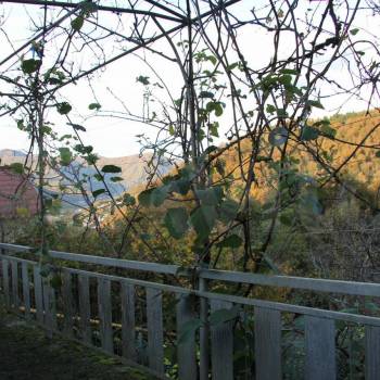 Продается Дом, 320 м²