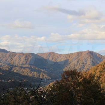 Продается Дом, 320 м²