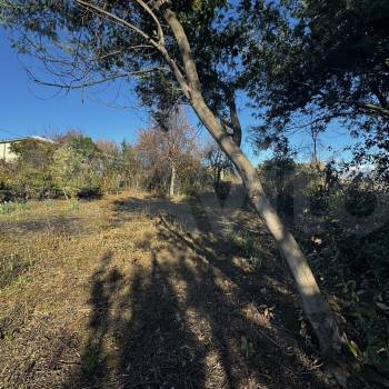 Продается Участок, 600 м²