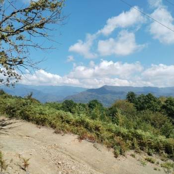 Продается Участок, 7300 м²