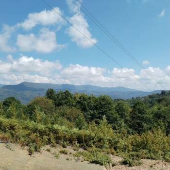 Продается Участок, 7300 м²