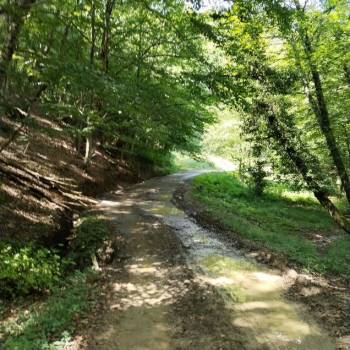 Продается Участок, 7300 м²