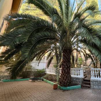 Продается Дом, 270,5 м²