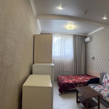 Продается 1-комнатная квартира, 24,3 м²