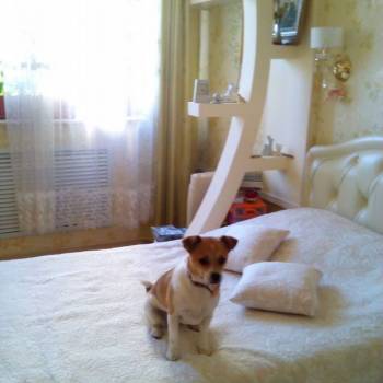 Продается 1-комнатная квартира, 46,2 м²