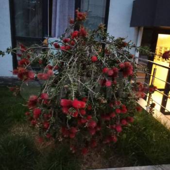 Продается 1-комнатная квартира, 24,1 м²