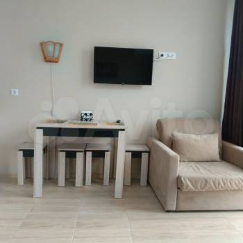 Продается 1-комнатная квартира, 24,1 м²