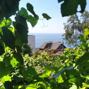 Сдается 2-х комнатная квартира, 55 м²