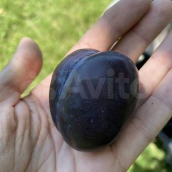 Продается Участок, 800 м²