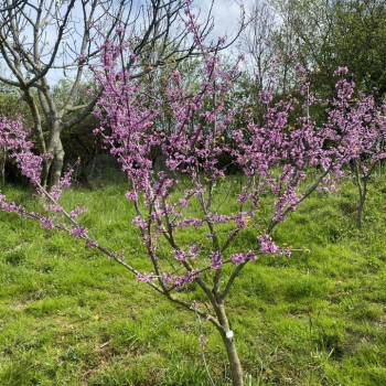 Продается Участок, 800 м²