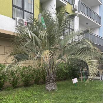 Продается 1-комнатная квартира, 26,4 м²