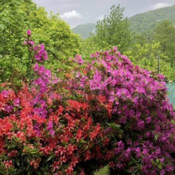 Продается Дом, 24 м²