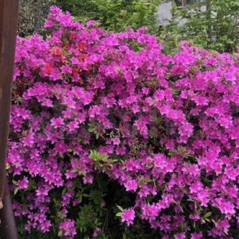 Продается Дом, 24 м²