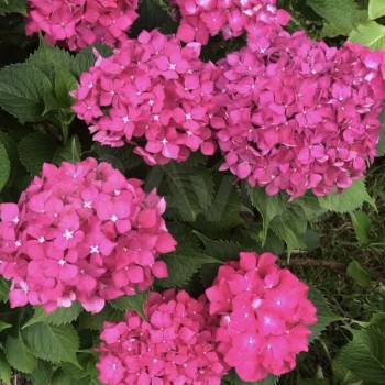 Продается Дом, 24 м²